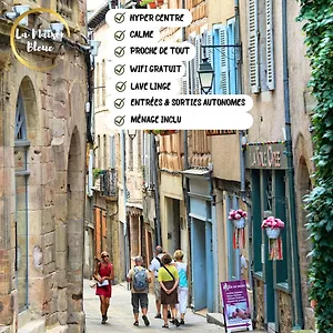Apartamento La Maison Bleue, Un Emplacement De Choix A, Rodez